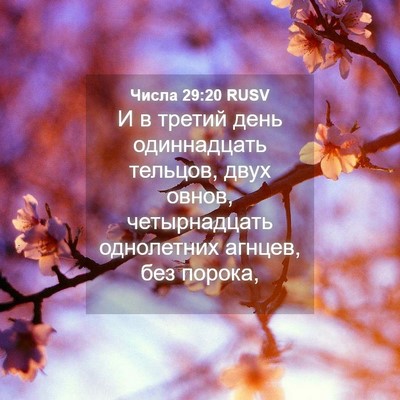 Picture 04 - Числа 29:20 RUSV - И в третий день - Bible Verse Picture