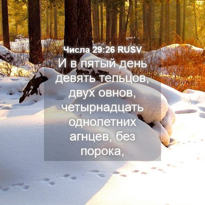 Picture 04 - Числа 29:26 RUSV - И в пятый день девять - Bible Verse Picture
