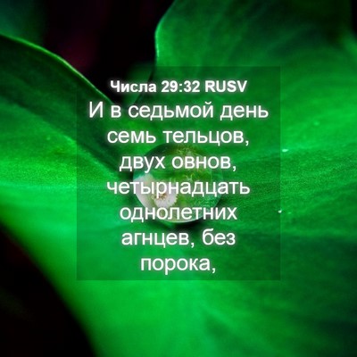 Picture 04 - Числа 29:32 RUSV - И в седьмой день семь - Bible Verse Picture