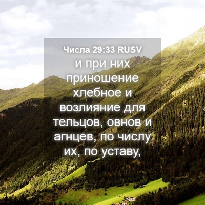 Picture 04 - Числа 29:33 RUSV - и при них приношение - Bible Verse Picture