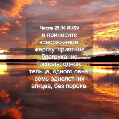 Picture 04 - Числа 29:36 RUSV - и приносите всесожжение, - Bible Verse Picture