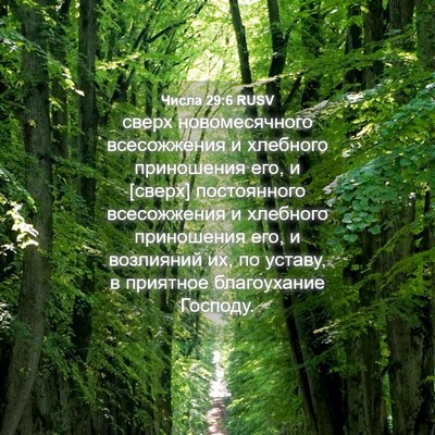 Picture 04 - Числа 29:6 RUSV - сверх новомесячного - Bible Verse Picture