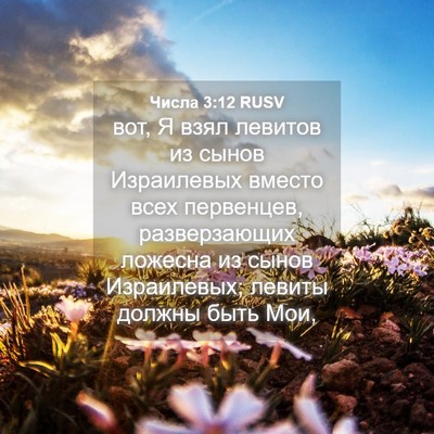 Picture 04 - Числа 3:12 RUSV - вот, Я взял левитов из - Bible Verse Picture