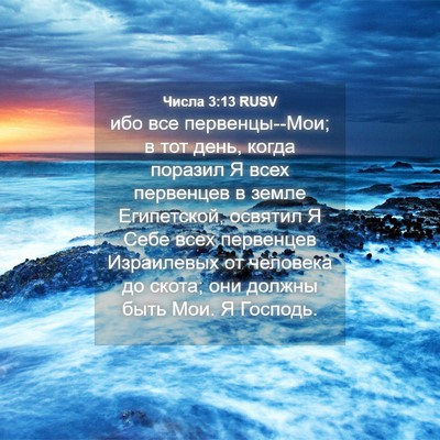 Picture 04 - Числа 3:13 RUSV - ибо все первенцы--Мои; в тот - Bible Verse Picture
