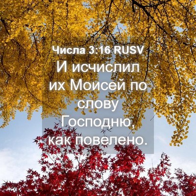 Picture 04 - Числа 3:16 RUSV - И исчислил их Моисей по - Bible Verse Picture