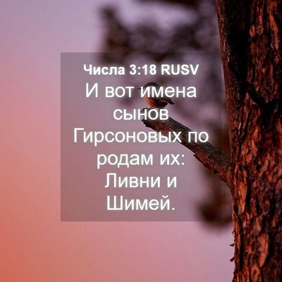 Picture 04 - Числа 3:18 RUSV - И вот имена сынов - Bible Verse Picture