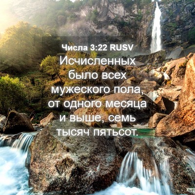 Picture 04 - Числа 3:22 RUSV - Исчисленных было всех - Bible Verse Picture