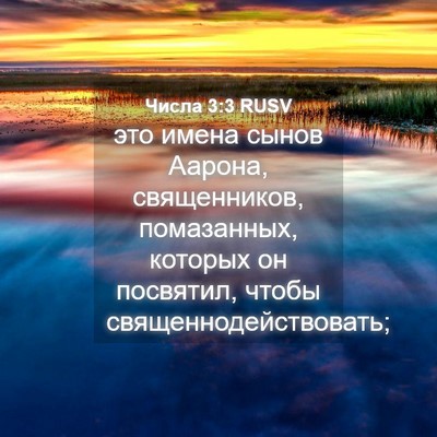 Picture 04 - Числа 3:3 RUSV - это имена сынов Аарона, - Bible Verse Picture