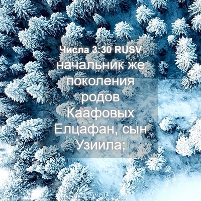 Picture 04 - Числа 3:30 RUSV - начальник же поколения - Bible Verse Picture