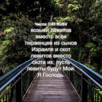 Picture 04 - Числа 3:45 RUSV - возьми левитов вместо всех - Bible Verse Picture