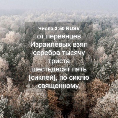 Picture 04 - Числа 3:50 RUSV - от первенцев Израилевых - Bible Verse Picture