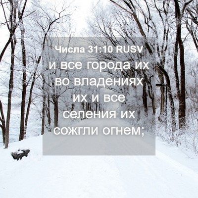Picture 04 - Числа 31:10 RUSV - и все города их во - Bible Verse Picture