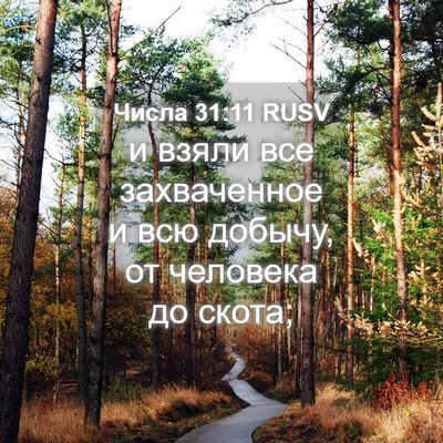 Picture 04 - Числа 31:11 RUSV - и взяли все захваченное и - Bible Verse Picture