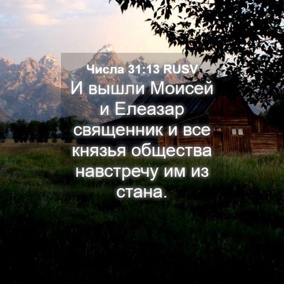 Picture 04 - Числа 31:13 RUSV - И вышли Моисей и Елеазар - Bible Verse Picture