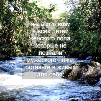 Picture 04 - Числа 31:18 RUSV - а всех детей женского пола, - Bible Verse Picture