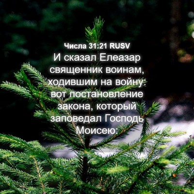 Picture 04 - Числа 31:21 RUSV - И сказал Елеазар священник - Bible Verse Picture