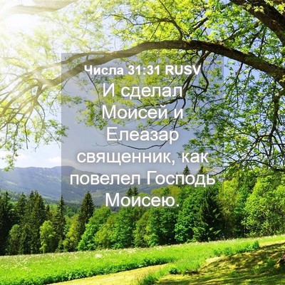 Picture 04 - Числа 31:31 RUSV - И сделал Моисей и Елеазар - Bible Verse Picture