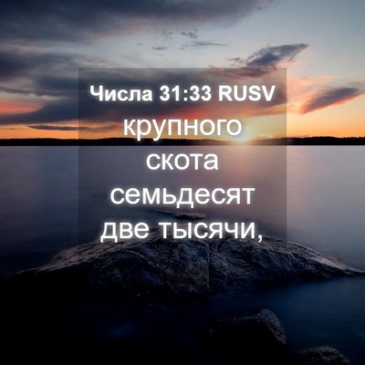 Picture 04 - Числа 31:33 RUSV - крупного скота семьдесят - Bible Verse Picture