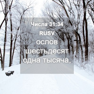 Picture 04 - Числа 31:34 RUSV - ослов шестьдесят одна - Bible Verse Picture