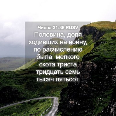 Picture 04 - Числа 31:36 RUSV - Половина, доля ходивших на - Bible Verse Picture