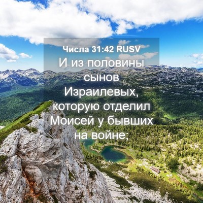 Picture 04 - Числа 31:42 RUSV - И из половины сынов - Bible Verse Picture