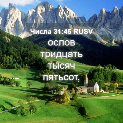 Picture 04 - Числа 31:45 RUSV - ослов тридцать тысяч - Bible Verse Picture