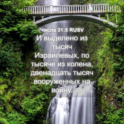 Picture 04 - Числа 31:5 RUSV - И выделено из тысяч - Bible Verse Picture