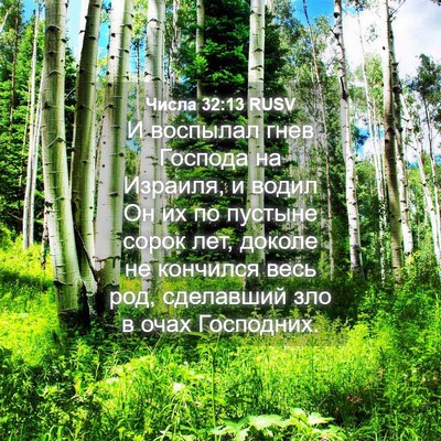 Picture 04 - Числа 32:13 RUSV - И воспылал гнев Господа на - Bible Verse Picture