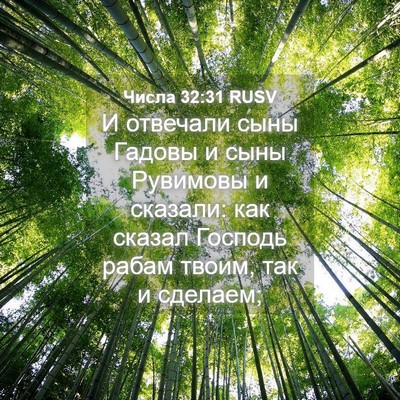 Picture 04 - Числа 32:31 RUSV - И отвечали сыны Гадовы и - Bible Verse Picture