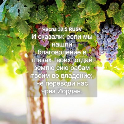 Picture 04 - Числа 32:5 RUSV - И сказали: если мы нашли - Bible Verse Picture