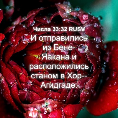 Picture 04 - Числа 33:32 RUSV - И отправились из - Bible Verse Picture