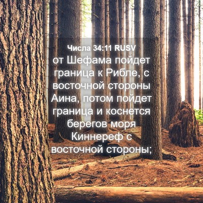 Picture 04 - Числа 34:11 RUSV - от Шефама пойдет граница к - Bible Verse Picture