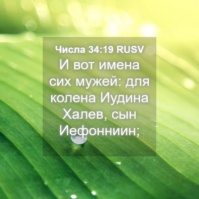 Picture 04 - Числа 34:19 RUSV - И вот имена сих мужей: для - Bible Verse Picture