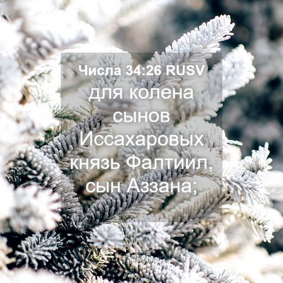 Picture 04 - Числа 34:26 RUSV - для колена сынов - Bible Verse Picture
