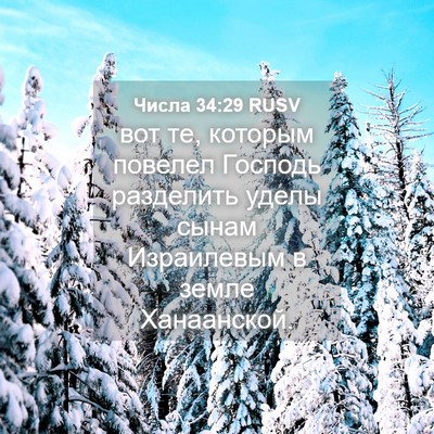 Picture 04 - Числа 34:29 RUSV - вот те, которым повелел - Bible Verse Picture