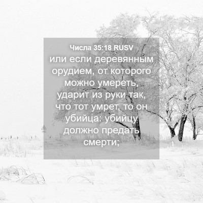 Picture 04 - Числа 35:18 RUSV - или если деревянным - Bible Verse Picture