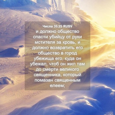 Picture 04 - Числа 35:25 RUSV - и должно общество спасти - Bible Verse Picture
