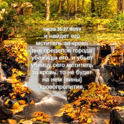Picture 04 - Числа 35:27 RUSV - и найдет его мститель за - Bible Verse Picture
