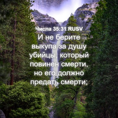 Picture 04 - Числа 35:31 RUSV - И не берите выкупа за душу - Bible Verse Picture