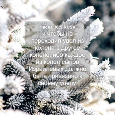 Picture 04 - Числа 36:9 RUSV - и чтобы не переходил удел - Bible Verse Picture