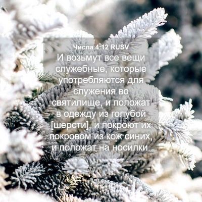 Picture 04 - Числа 4:12 RUSV - И возьмут все вещи - Bible Verse Picture