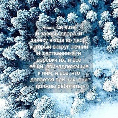 Picture 04 - Числа 4:26 RUSV - и завесы двора, и завесу - Bible Verse Picture