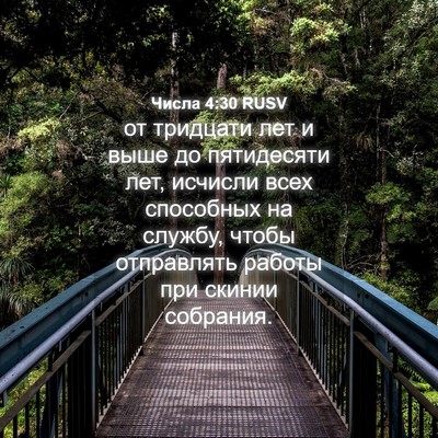 Picture 04 - Числа 4:30 RUSV - от тридцати лет и выше до - Bible Verse Picture