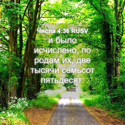 Picture 04 - Числа 4:36 RUSV - и было исчислено, по родам - Bible Verse Picture