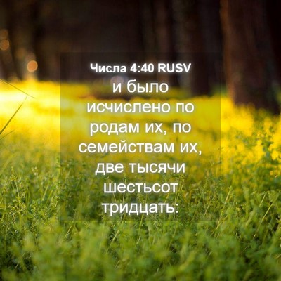Picture 04 - Числа 4:40 RUSV - и было исчислено по родам - Bible Verse Picture