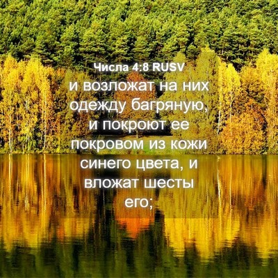 Picture 04 - Числа 4:8 RUSV - и возложат на них одежду - Bible Verse Picture