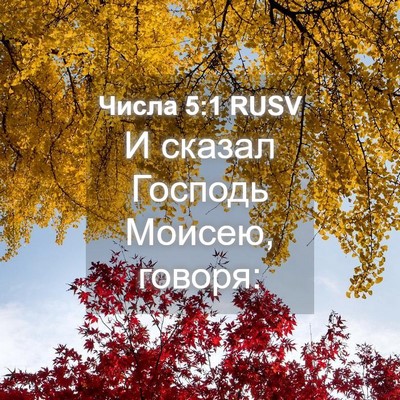 Picture 04 - Числа 5:1 RUSV - И сказал Господь Моисею, - Bible Verse Picture
