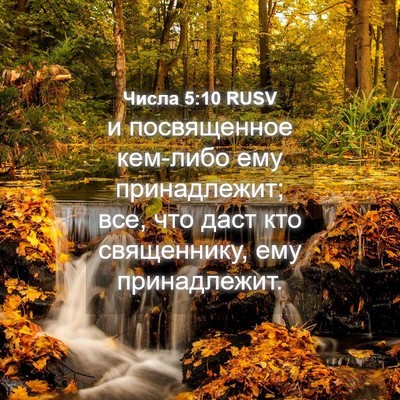 Picture 04 - Числа 5:10 RUSV - и посвященное кем-либо ему - Bible Verse Picture
