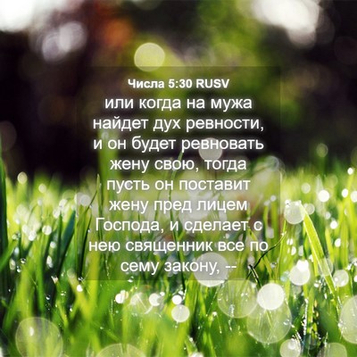 Picture 04 - Числа 5:30 RUSV - или когда на мужа найдет - Bible Verse Picture