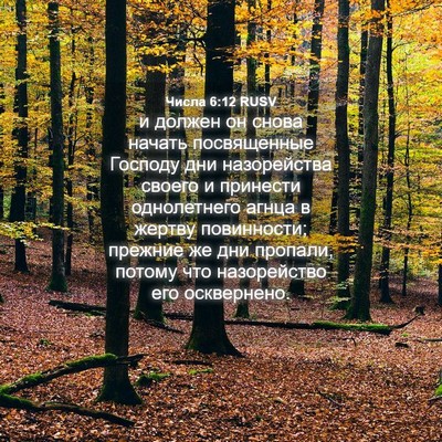 Picture 04 - Числа 6:12 RUSV - и должен он снова начать - Bible Verse Picture